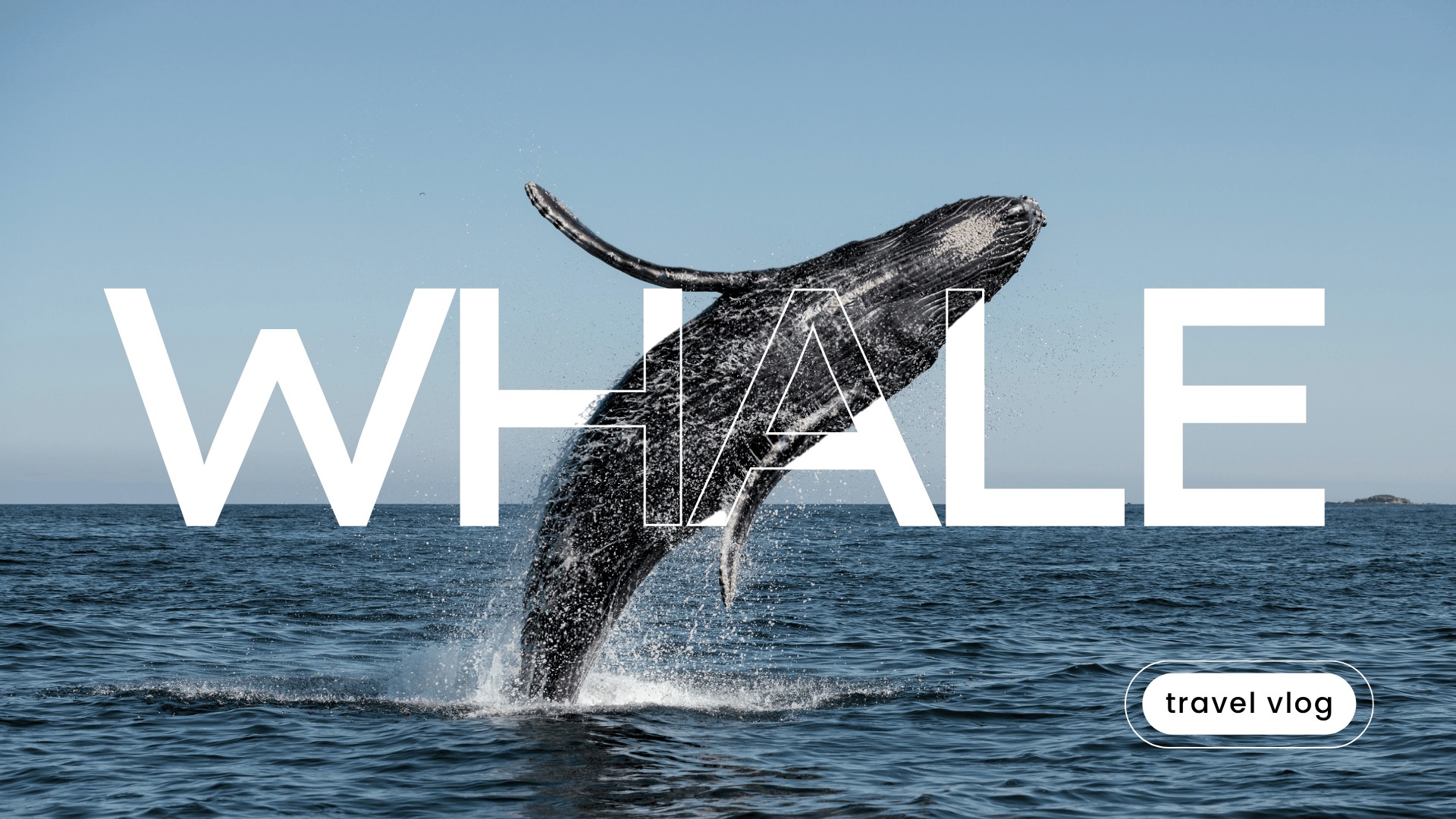 Adventure begins the moment you hit play.